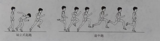 2021年下半年小学教师资格《教育教学知识与能力》科目真题答案5