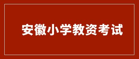 安徽小学教资考试